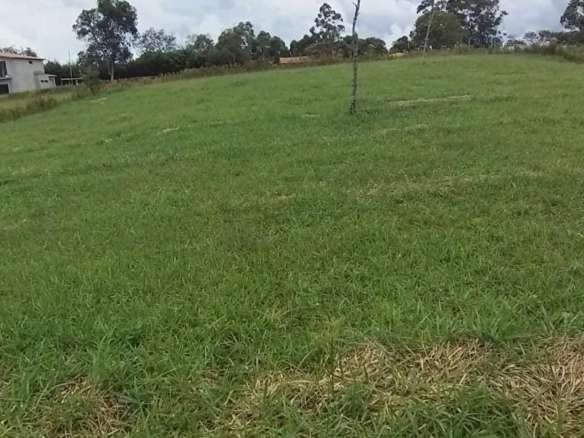 Parcela en Condominio Campestre Albaterra, Mesa de los Santos