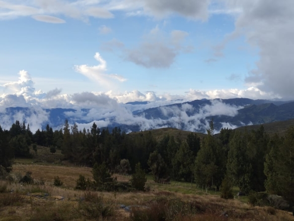 FINCA EN BERLÍN SANTANDER – COMPRA TU REFUGIO EN LAS MONTAÑAS – TONA / BUCARAMANGA