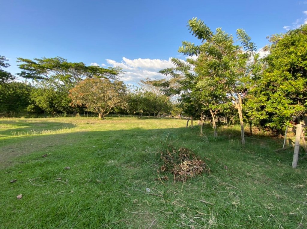 FINCA en el Barrio Santa Ana de Cartago