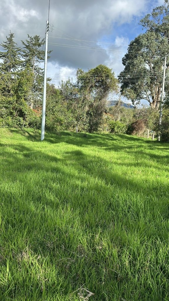 VENDO EXCELENTE LOTE EN GUASCA