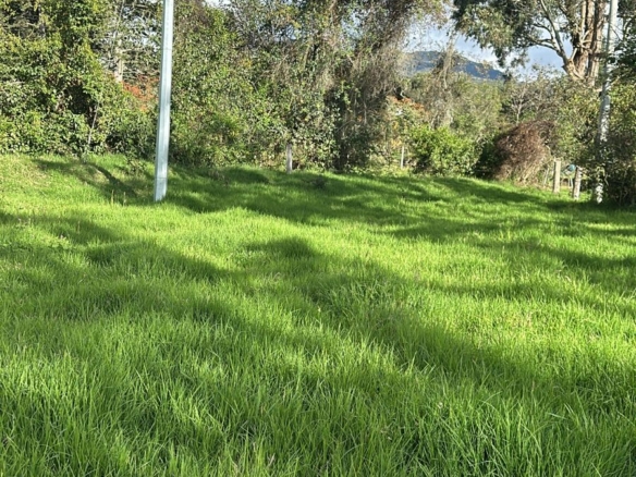 VENDO EXCELENTE LOTE EN GUASCA