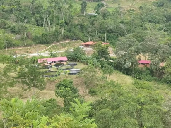 Finca a 45 minutos de Bucaramanga y a 20 minutos de Lebrija