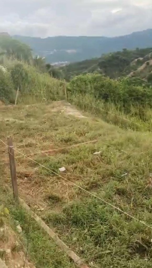 LOTES EN VENTA CENTRAL EN BUCARICA, FLORIDABLANCA