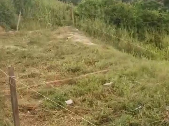 LOTES EN VENTA CENTRAL EN BUCARICA, FLORIDABLANCA