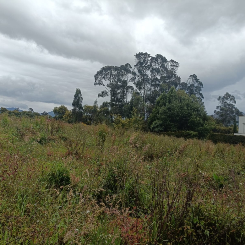 Venta de Lote en La Calera vereda Márquez, zona de desarrollo