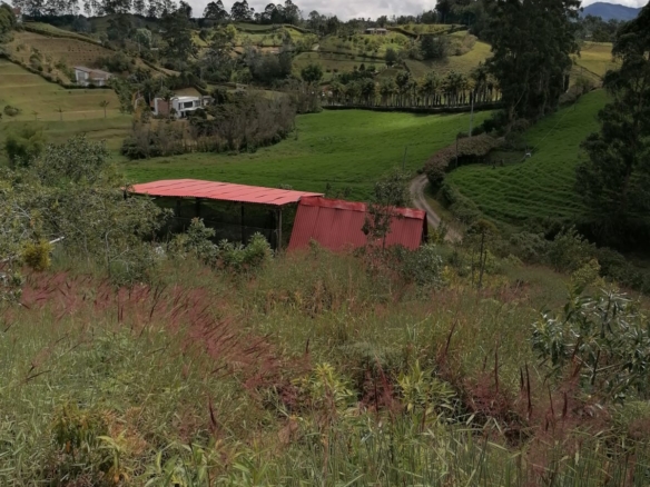 Finca con Glamping a 5 minutos de San Antonio de Pereira