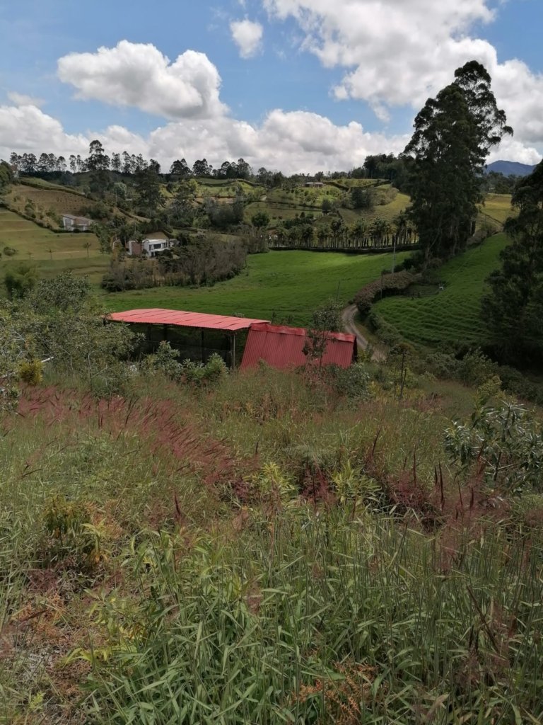 Finca con Glamping a 5 minutos de San Antonio de Pereira