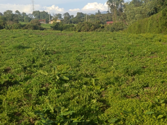 Venta de Lote en La Calera vereda Márquez, zona de desarrollo