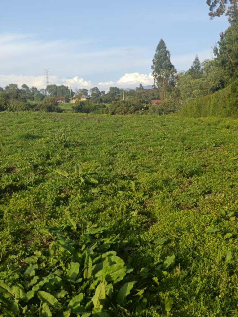 Venta de Lote en La Calera vereda Márquez, zona de desarrollo