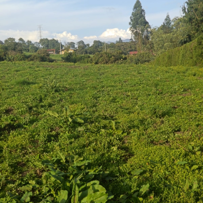 Venta de Lote en La Calera vereda Márquez, zona de desarrollo