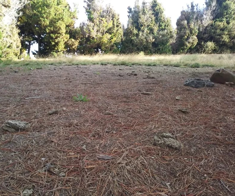 Lotes en Conjunto Campestre en Tona