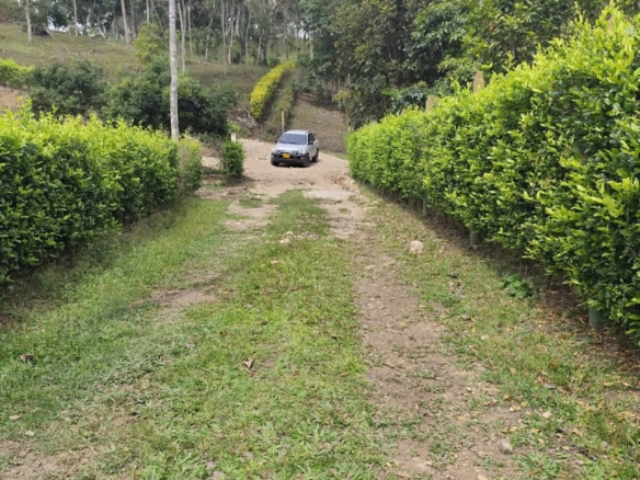 Lote campestre soñado te espera en Vianí, Cundinamarca