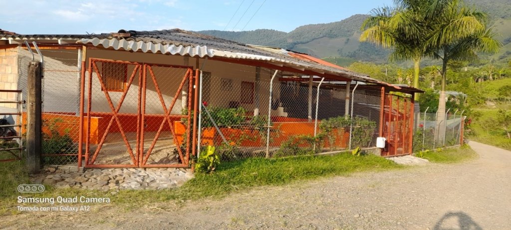 Venta Finca Productora en Pueblorrico Antioquia