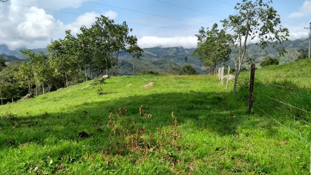 Estupendo lote de 3.300 mts2 ubicado en el municipio de Guaduas Cundinamarca