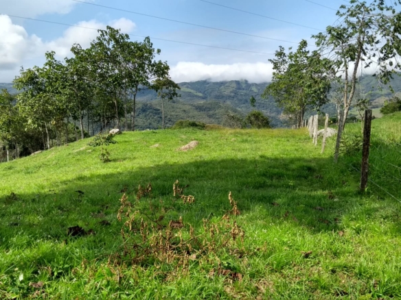 Estupendo lote de 3.300 mts2 ubicado en el municipio de Guaduas Cundinamarca