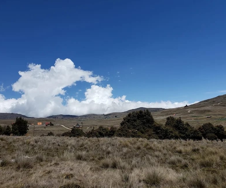 Lotes en Conjunto Campestre en Tona