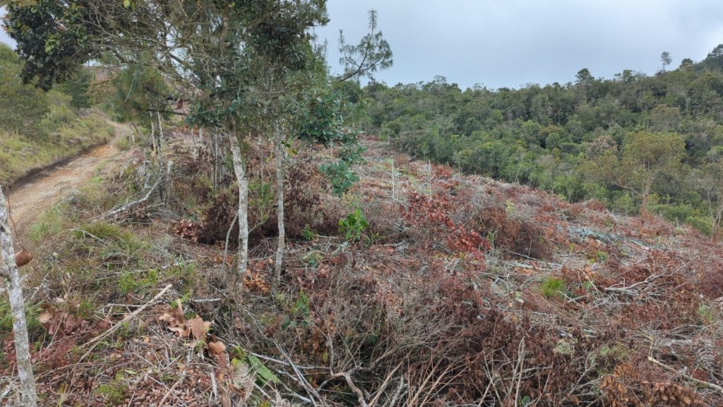 Lotes en Venta en Guarne, Antioquia – 200 m² y 300 m² desde $37.000.000
