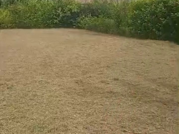 Lote en Condominio Campestre Tierra Linda – Turbaco, Bolívar