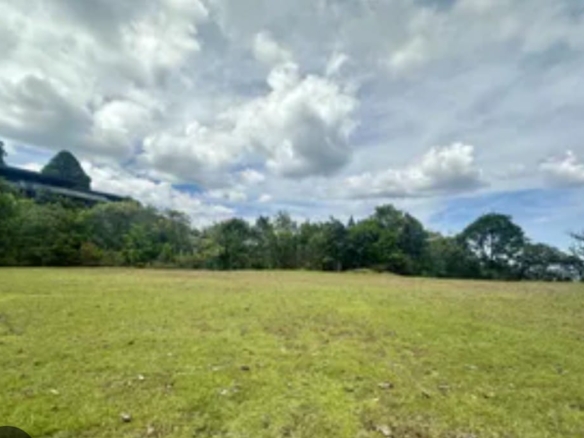 Vendo lote en Llanogrande Rionegro – 14.300 m² planos, zona exclusiva y de alta valorización