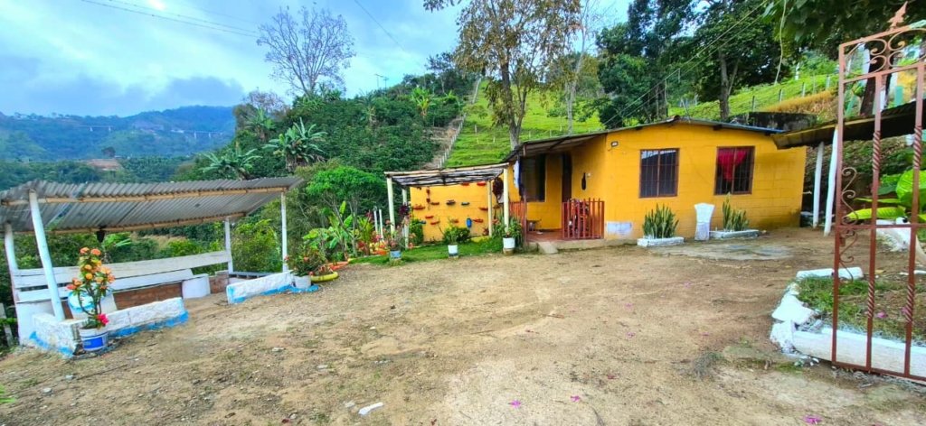 Venta de propiedad en la Vereda Helechales sector Cenicafe