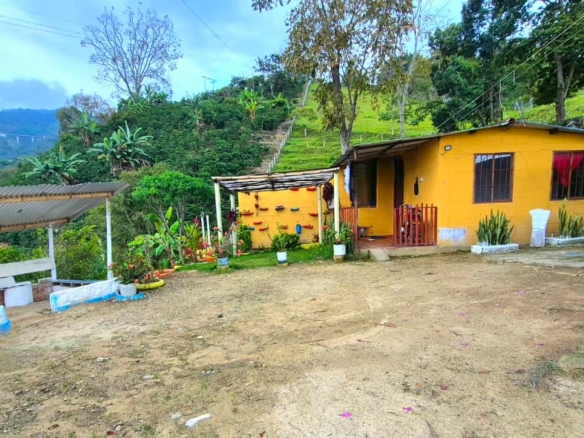 Venta de propiedad en la Vereda Helechales sector Cenicafe