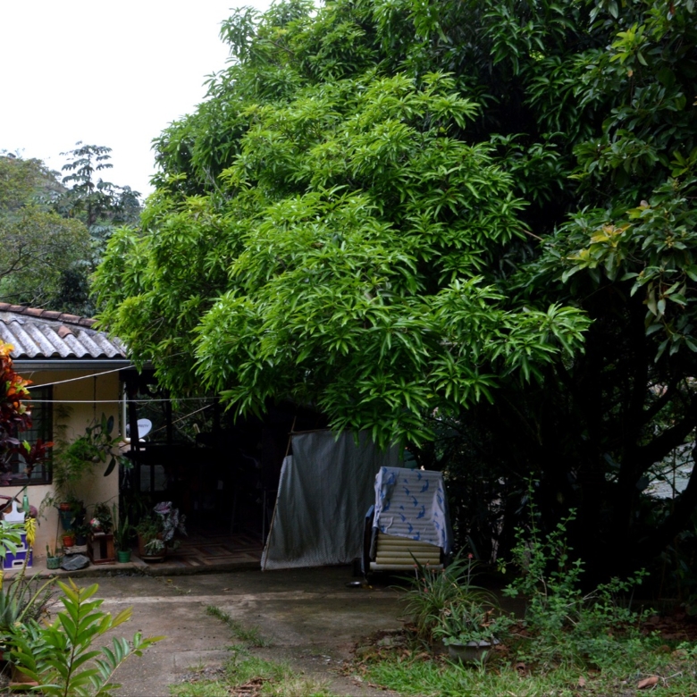 VENDEMOS PROPIEDAD EN LA BUITRERA SUR DE CALI