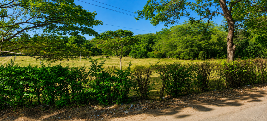 Lotes Campestres en Venta en Agua de Dios, Cerca a Girardot y Ricaurte