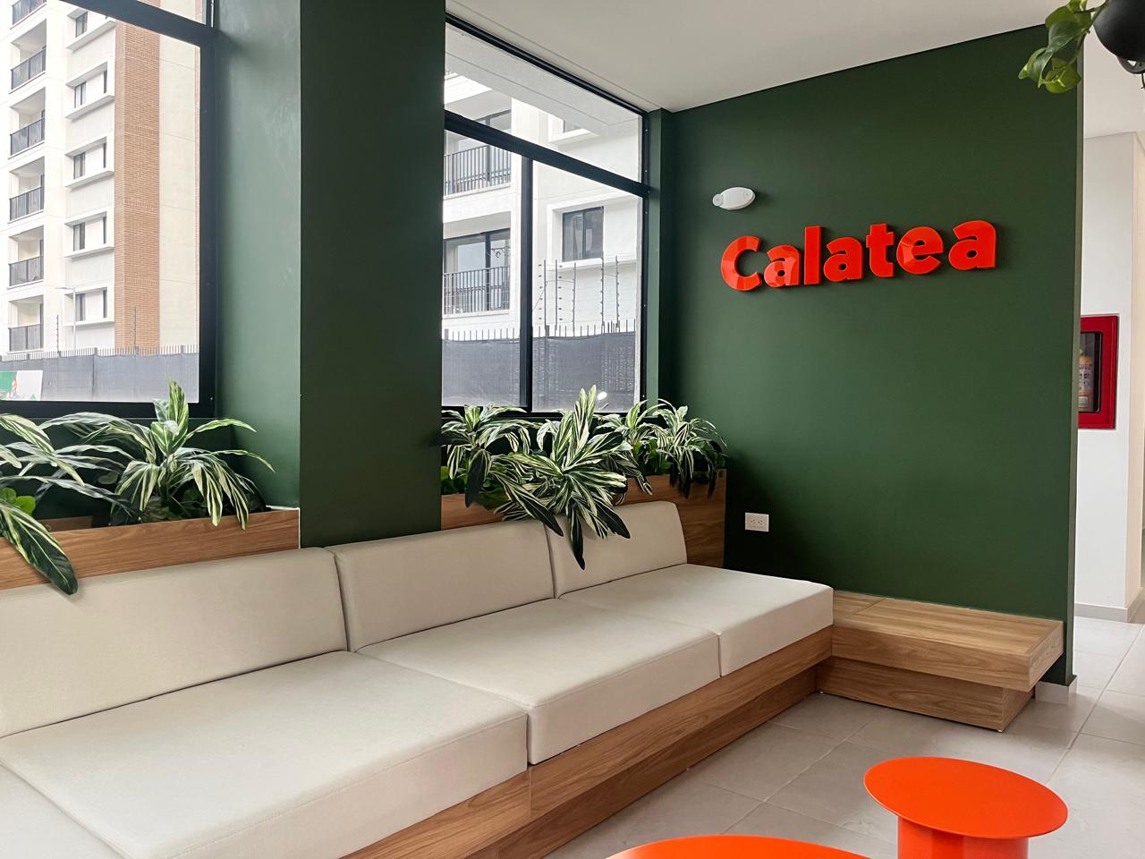 Apartamento en Venta en Valle del Lili Unidad Calatea, Parque Vivero