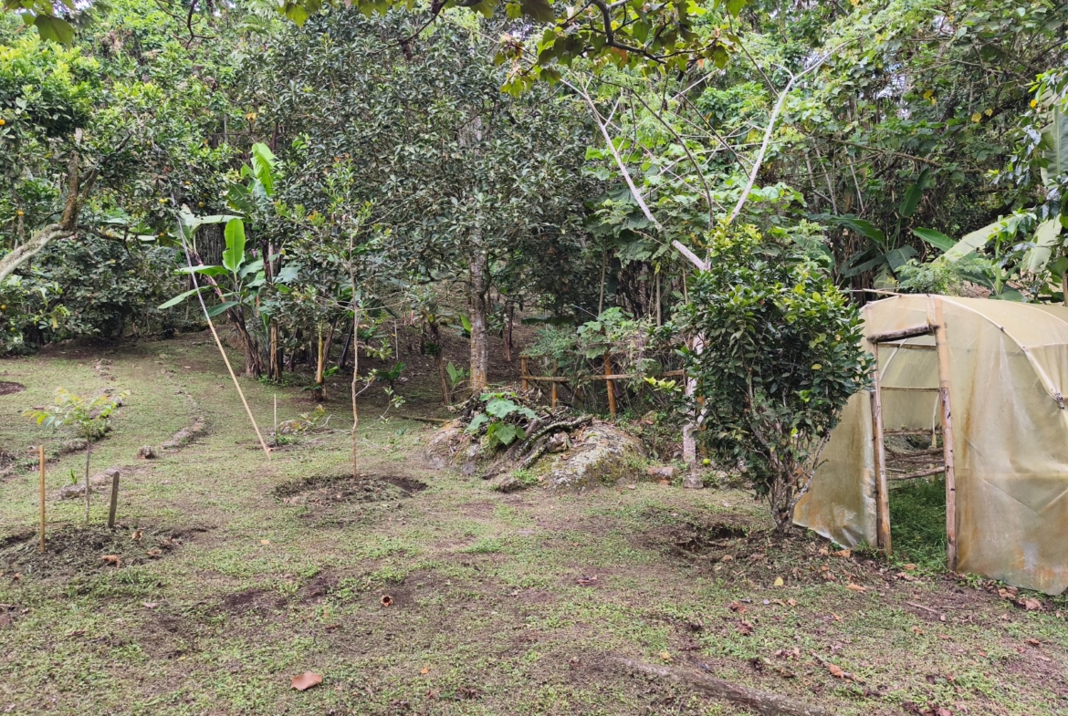 Casa campestre en venta ubicada en Dapa, sector La Olga, municipio de Yumbo