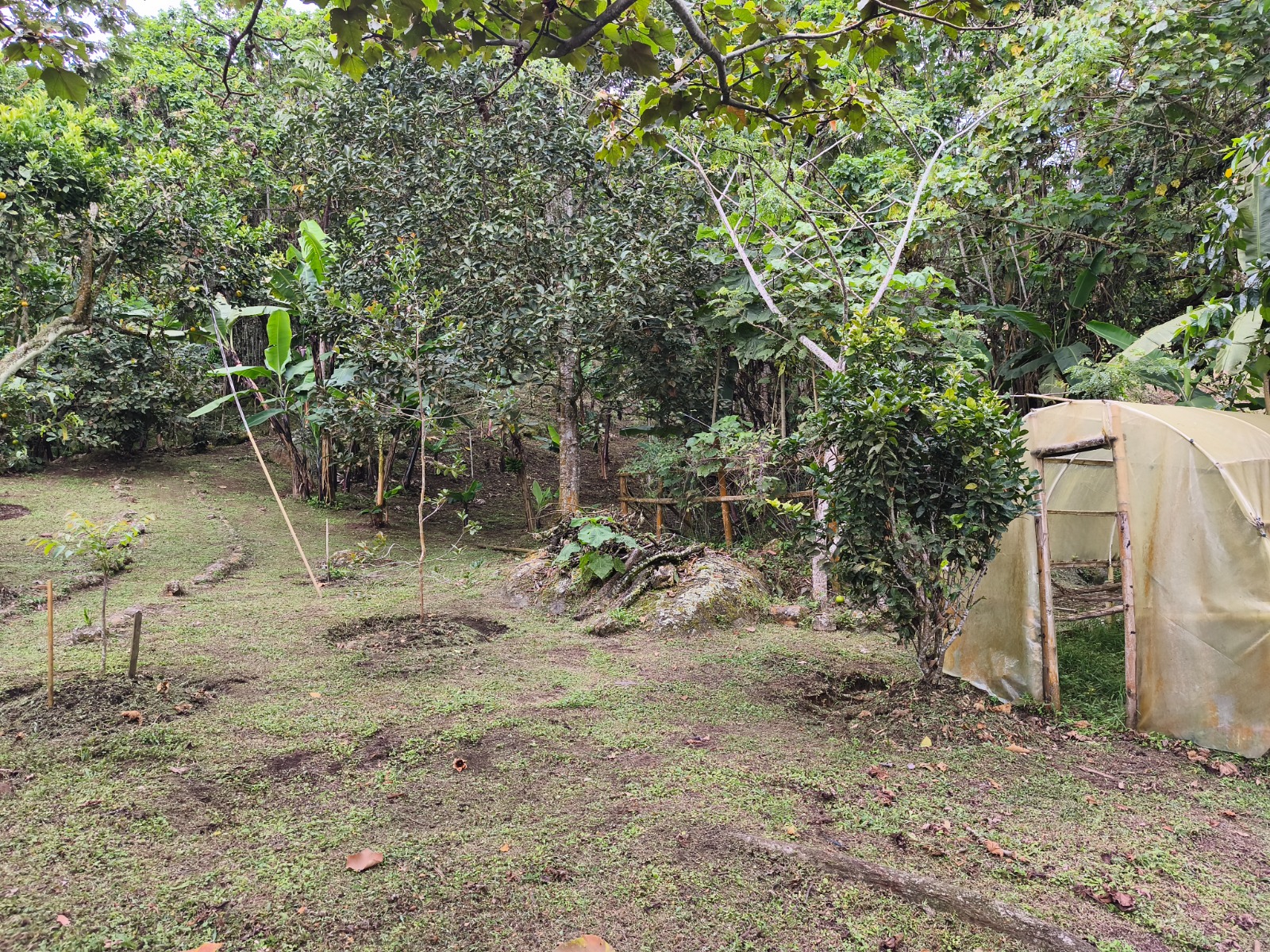 214465-271286-884329454025618 Casa campestre en venta ubicada en Dapa, sector La Olga, municipio de Yumbo