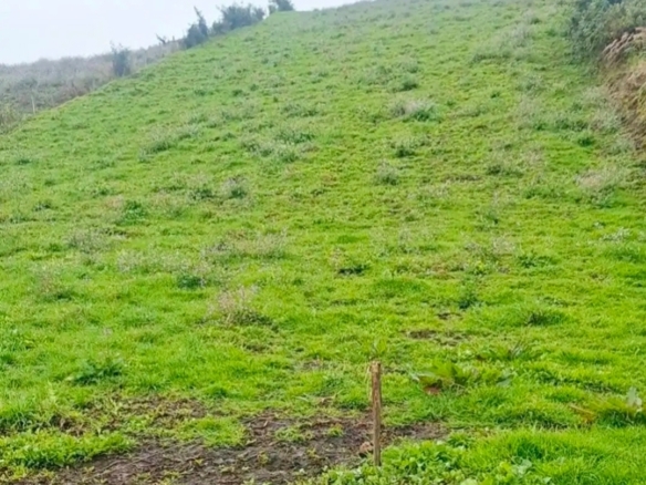 LOTE CAMPESTRE EN VENTA EN VILLAPINZÓN, CUNDINAMARCA
