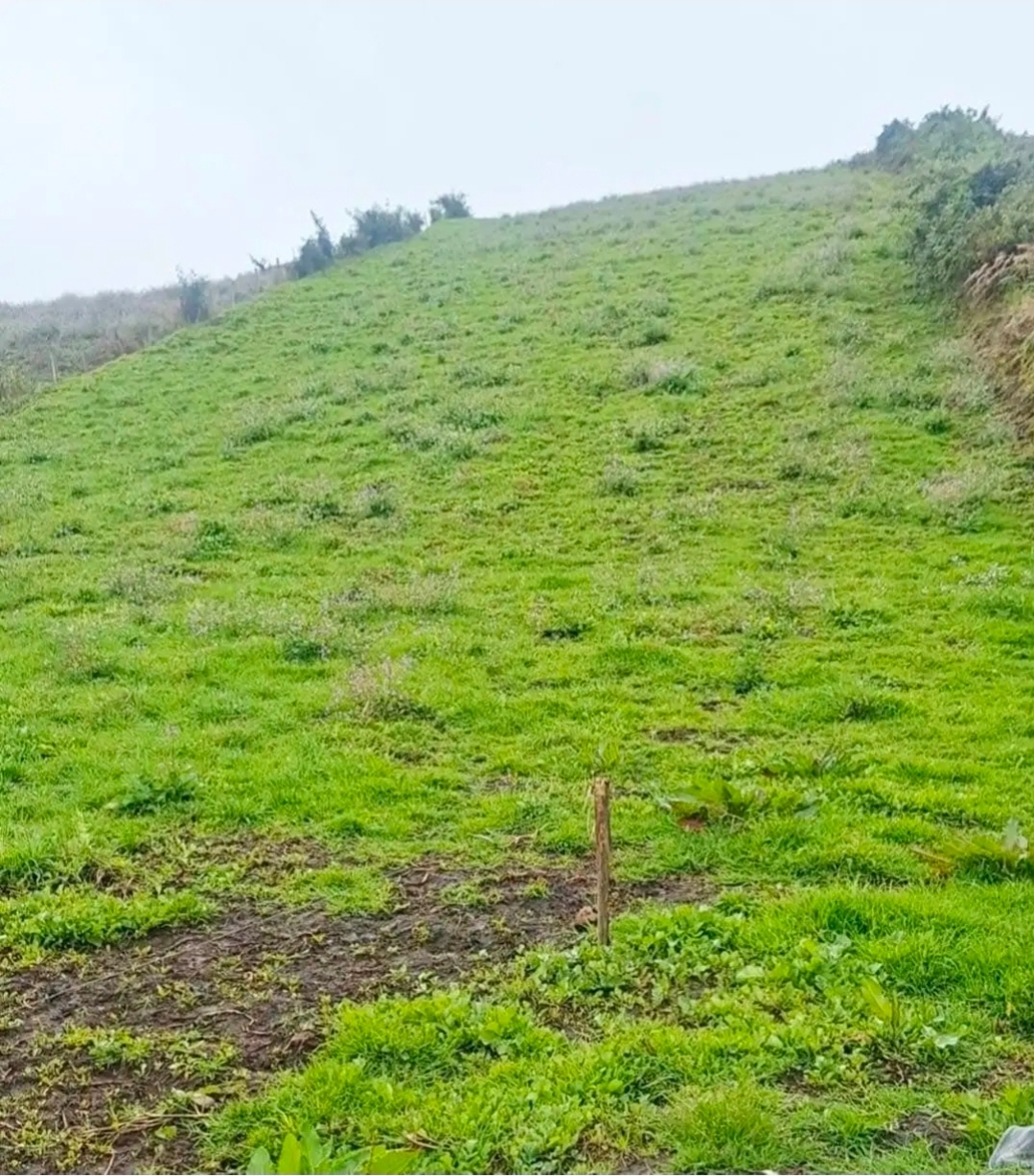 LOTE CAMPESTRE EN VENTA EN VILLAPINZÓN, CUNDINAMARCA