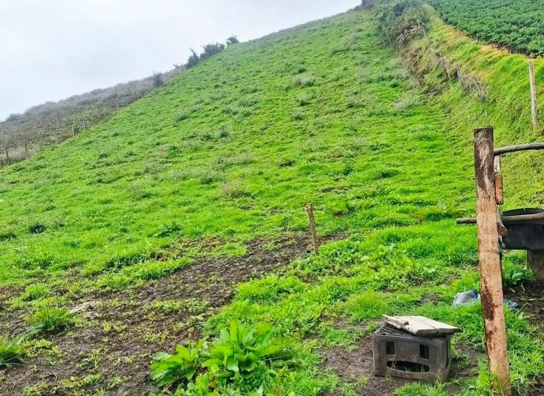 LOTE CAMPESTRE EN VENTA EN VILLAPINZÓN, CUNDINAMARCA