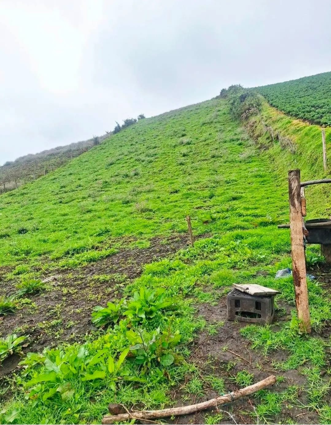 LOTE CAMPESTRE EN VENTA EN VILLAPINZÓN, CUNDINAMARCA