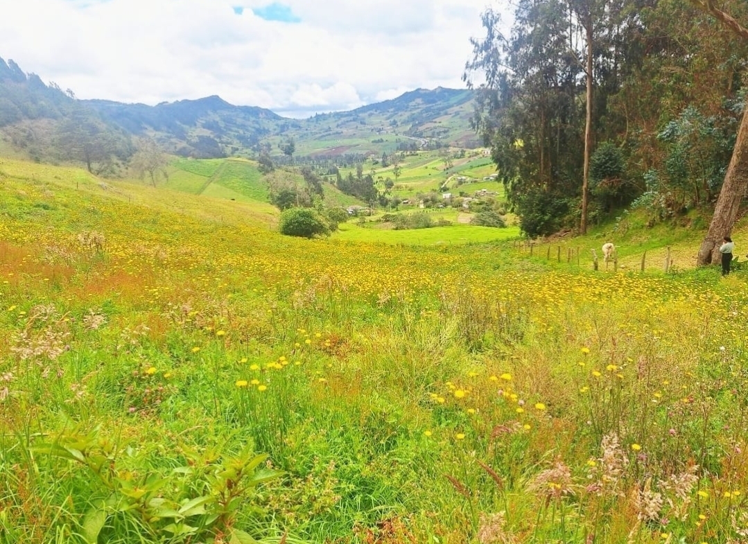 Lote campestre en venta en Ventaquemada, Boyacá
