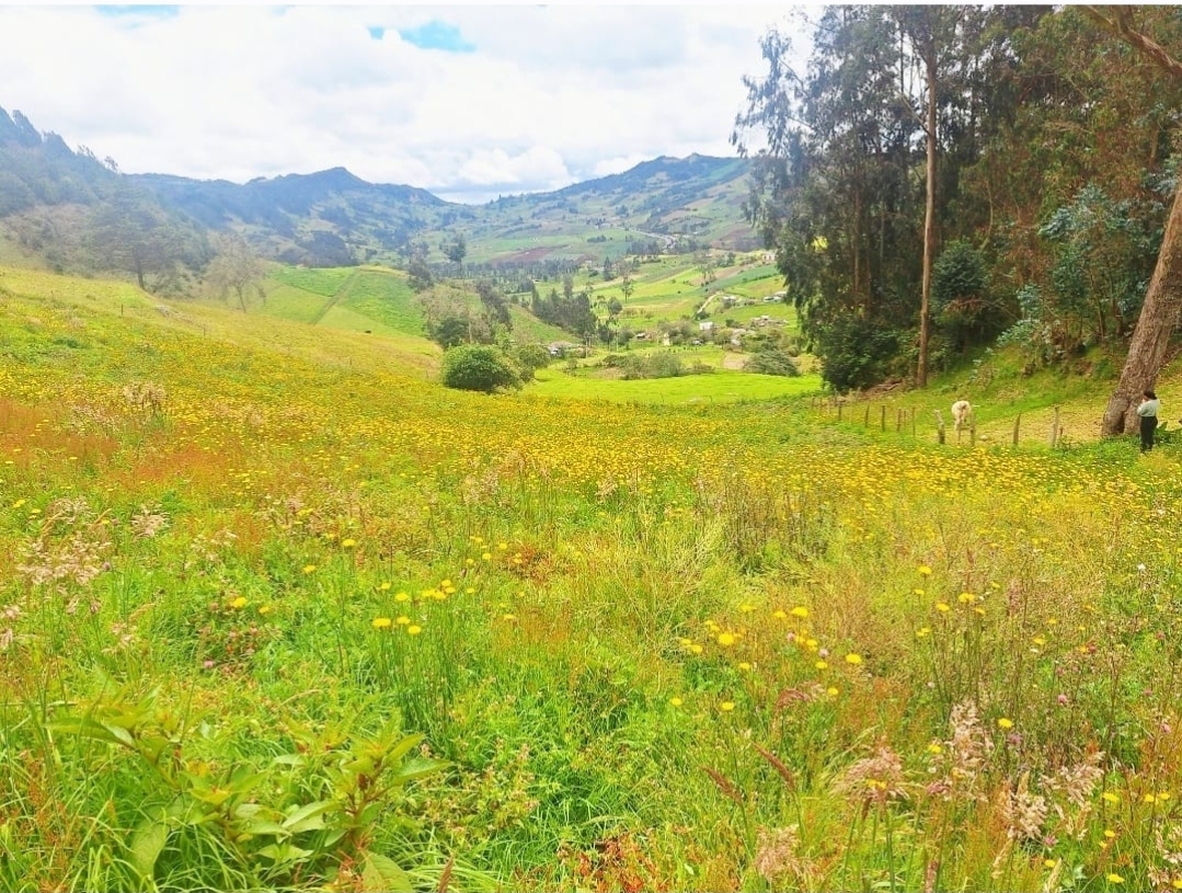 Lote campestre en venta en Ventaquemada, Boyacá