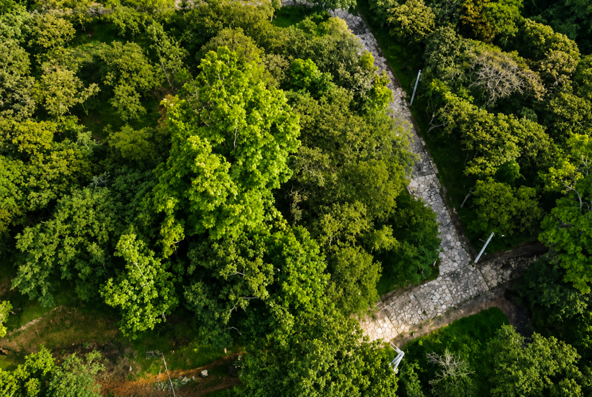 Parcela Campestre en Venta en Los Arrayanes Condominio Campestre, Curití | Lote de 1.500 m² con Casa y Zonas Comunes