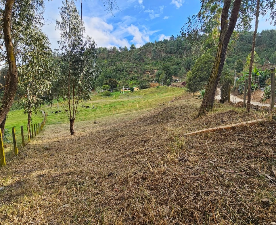 Lote en Venta en Jenesano, Boyacá de 1.588 m² a 1.4 km del Centro