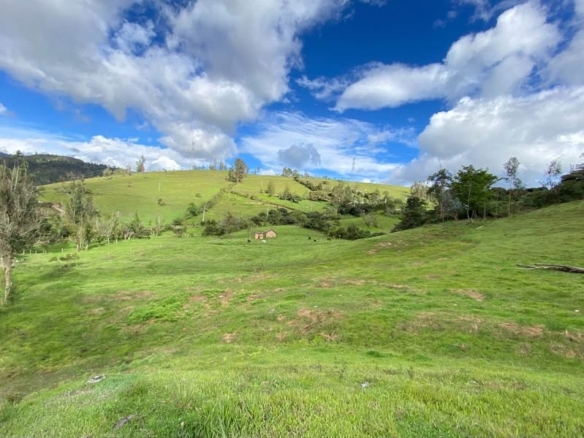 Se Vende Finca Productiva de 35.600 m² en Jenesano, Boyacá