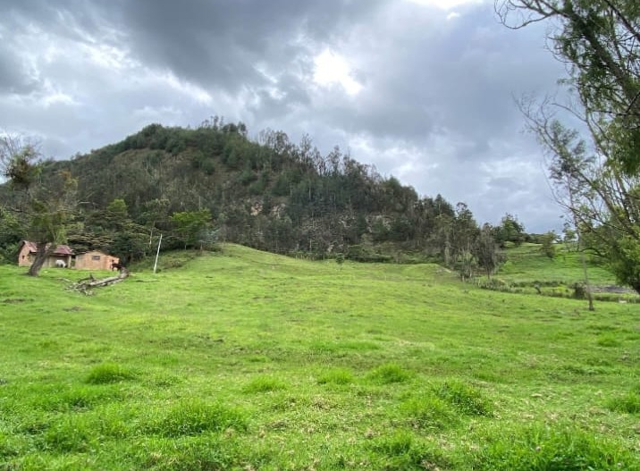 Se Vende Finca Productiva de 35.600 m² en Jenesano, Boyacá