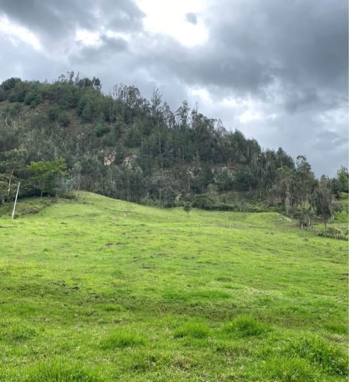 Se Vende Finca Productiva de 35.600 m² en Jenesano, Boyacá