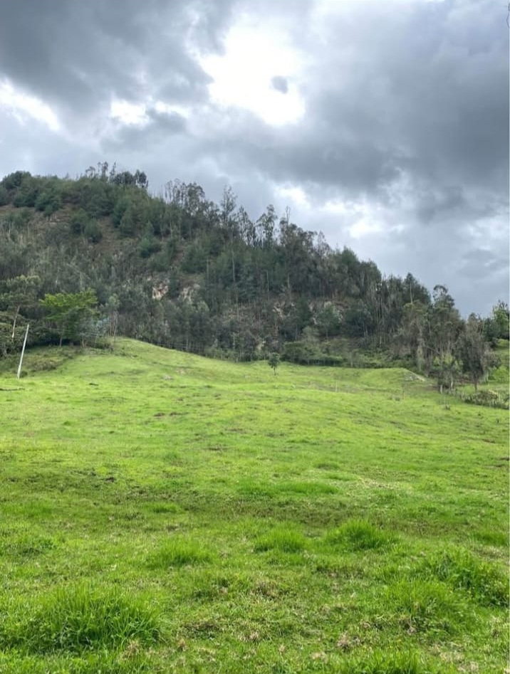 FOTO 11 Se Vende Finca Productiva de 35.600 m² en Jenesano, Boyacá