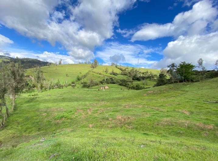 Se Vende Finca Productiva de 35.600 m² en Jenesano, Boyacá