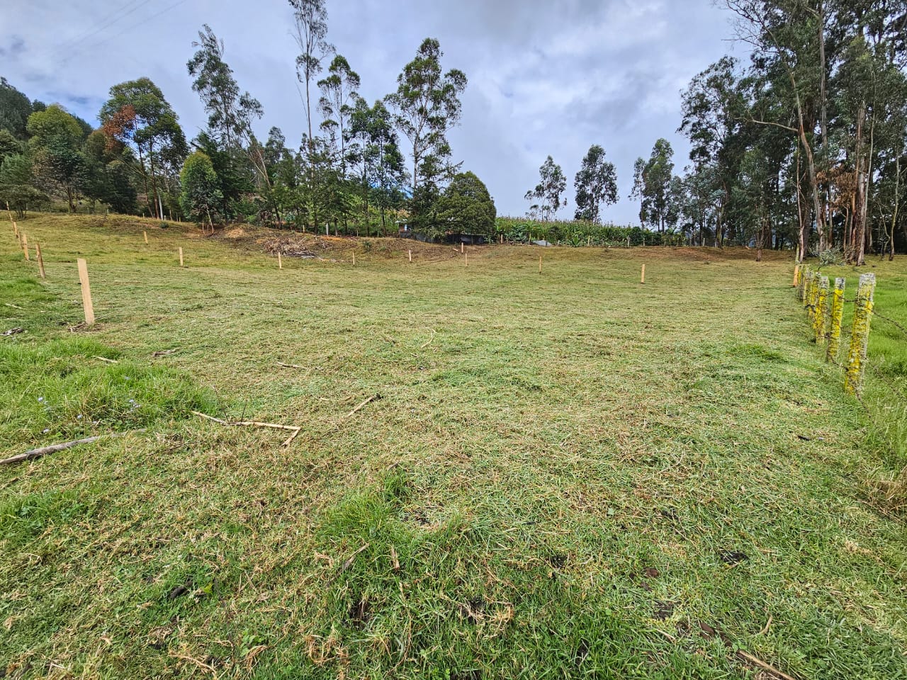 Lote en Venta en Jenesano, Boyacá de 1.588 m² a 1.4 km del Centro