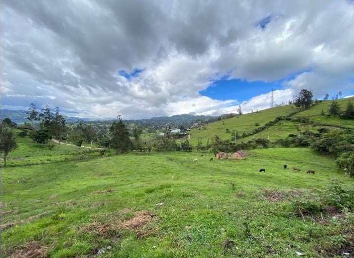 Se Vende Finca Productiva de 35.600 m² en Jenesano, Boyacá