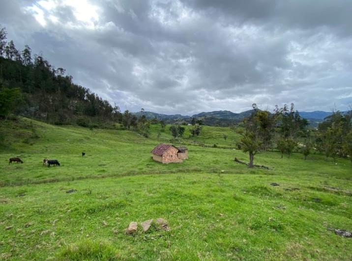 Se Vende Finca Productiva de 35.600 m² en Jenesano, Boyacá