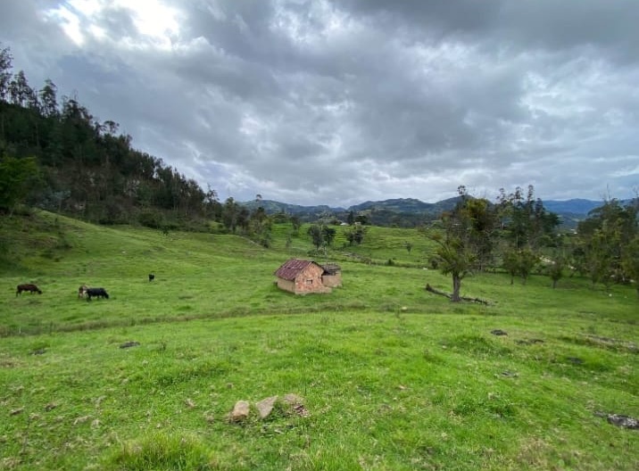 Se Vende Finca Productiva de 35.600 m² en Jenesano, Boyacá