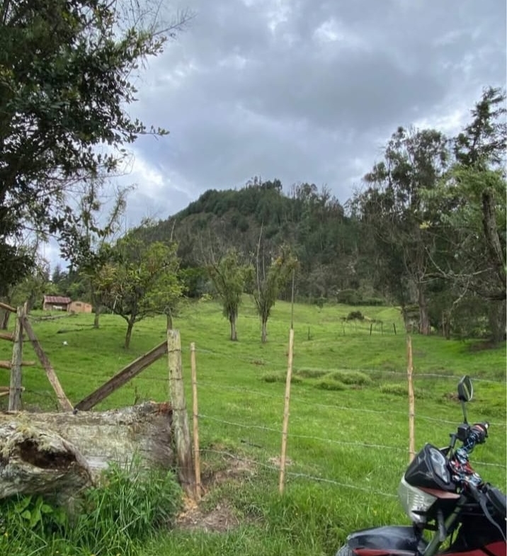 Se Vende Finca Productiva de 35.600 m² en Jenesano, Boyacá