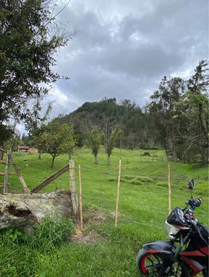 FOTO 9 Se Vende Finca Productiva de 35.600 m² en Jenesano, Boyacá