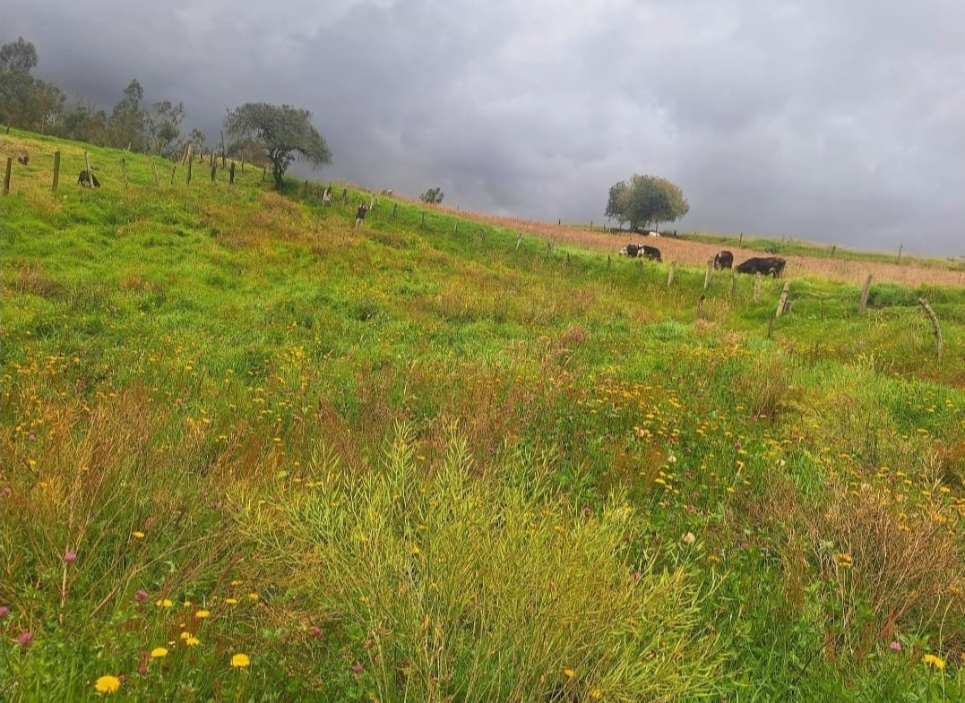 Lote campestre en venta en Ventaquemada, Boyacá